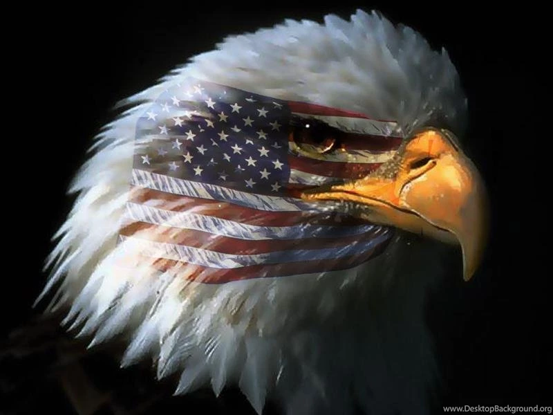 Eagle With War Paint Desktop Wallpaper. Eagle Paint And Wallpapers ...
