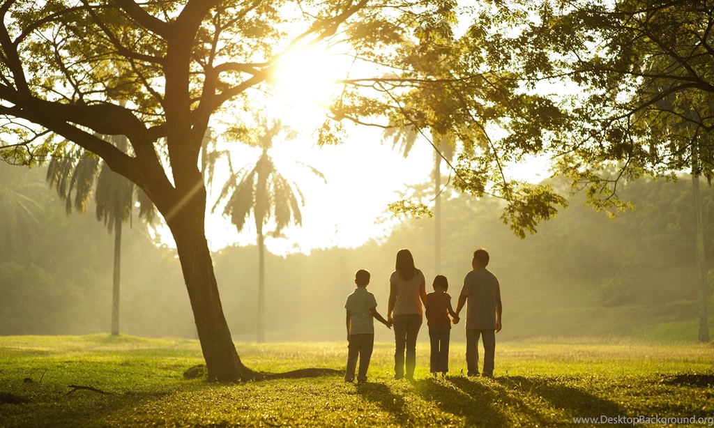 The Family Wallpapers RoRo30 Magazine