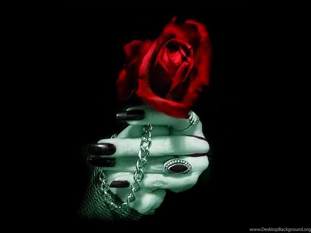 Wallpapers Gothic Rose Black Beauty Free The .4 1024x768