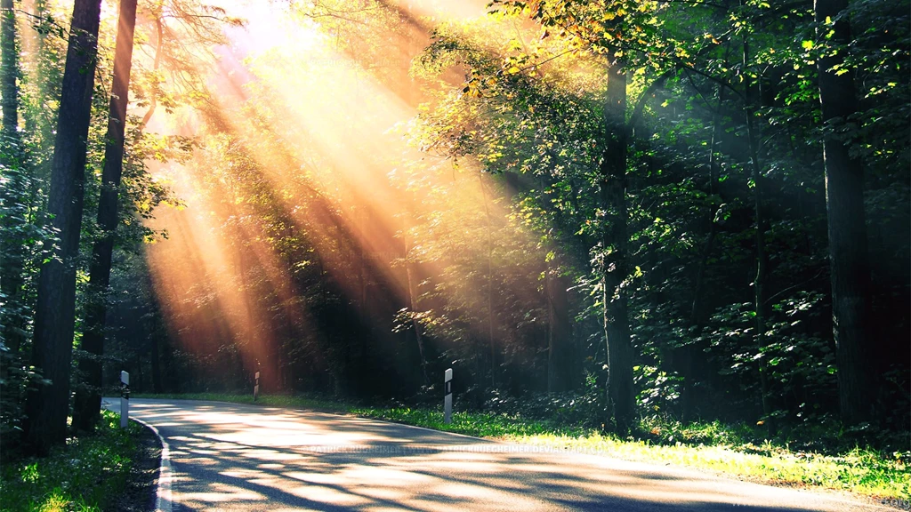 To Paradise Hd Wallpapers Theme Bin Customization Hd Wallpapers 1 ...