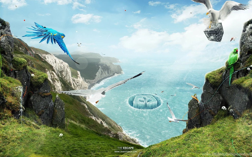 Wallpapers Tagged With PARADISE