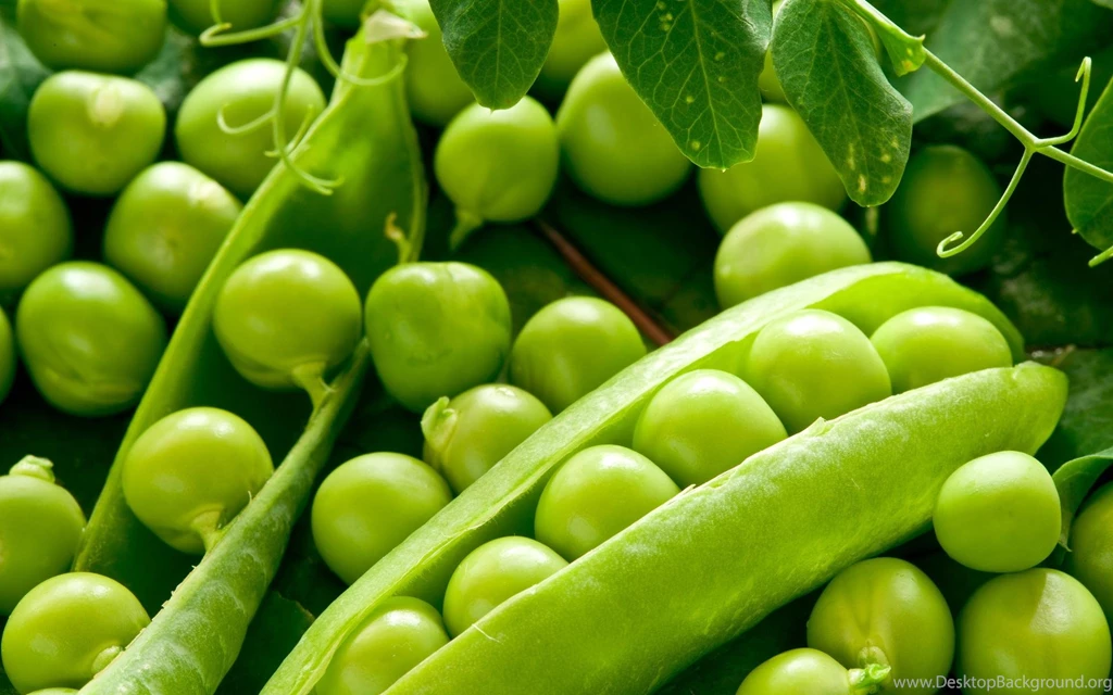 Vegetable Wallpapers >> Backgrounds With Quality HD