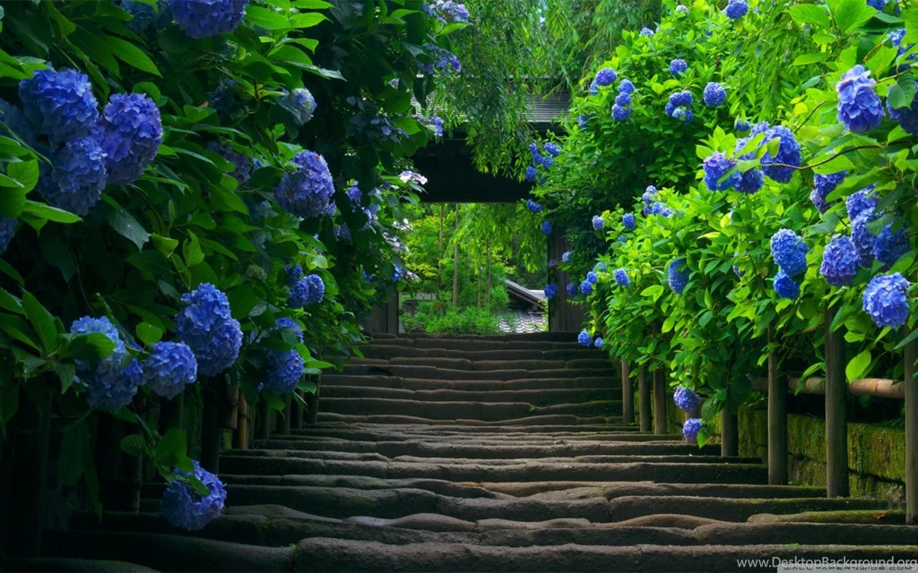Japanese Garden Stairs HD Desktop Wallpapers : Widescreen : High ...