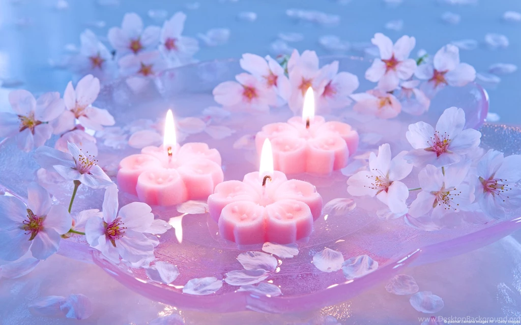 Desktop Japanese Flowers Pictures 3d Hd Pictures.