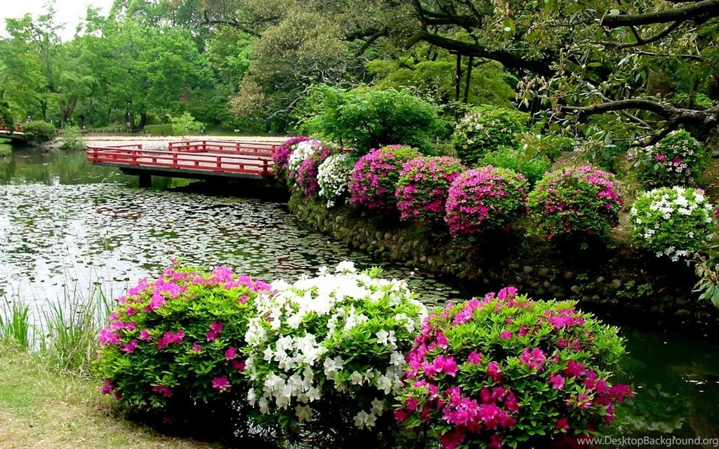 Japanese Flower Garden