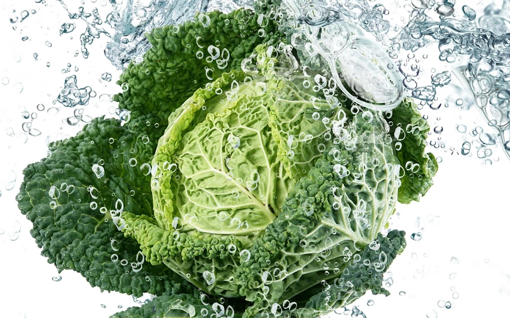 Fresh Cabbage Wallpapers