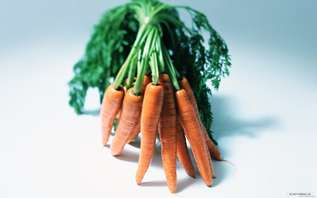 Free Wallpapers Free Photography Wallpapers Vegetable Photo 1 ...