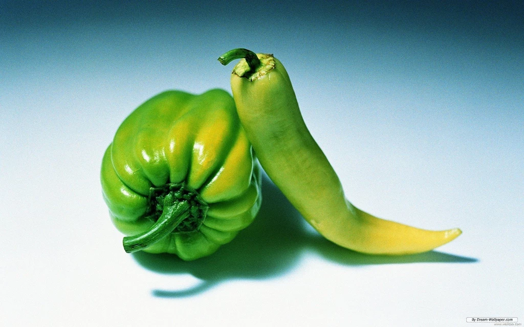 Vegetables To Draw On Pinterest