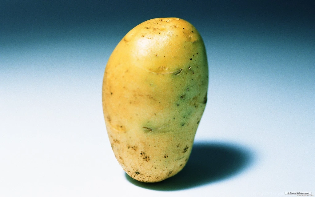 Free Wallpapers Free Photography Wallpapers Vegetable Photo 1 ...