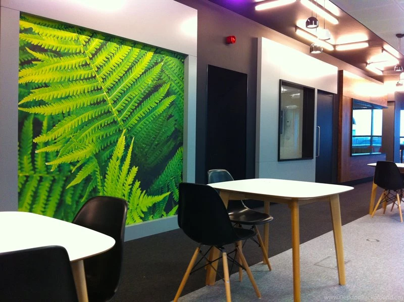 Wall Displays'