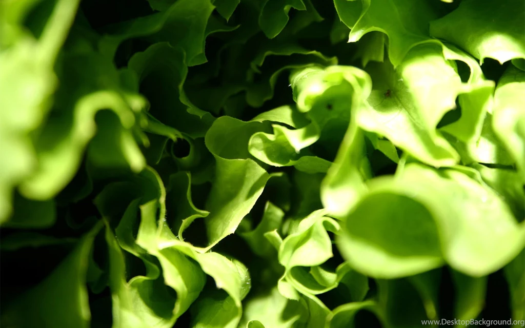 Download Wallpapers 3840x2400 Salad, Vegetable, Healthy Ultra HD 4K ...