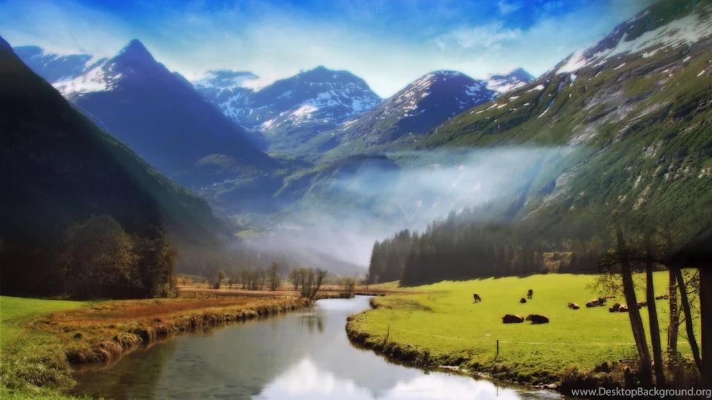 Nice Wallpapers, Animals, 3D, Nature Wallpapers: Nice Wallpapers ...