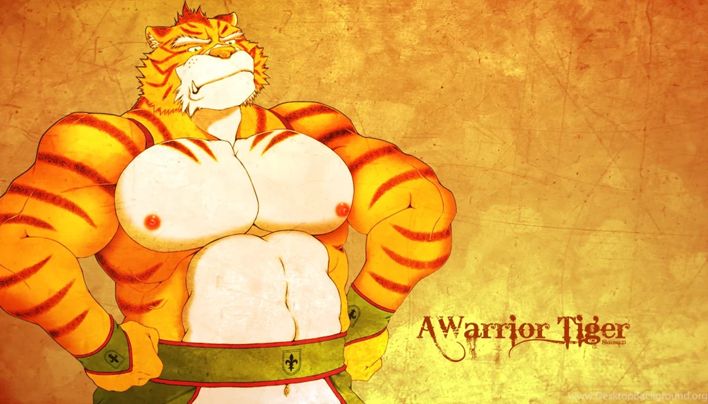 A Warrior Tiger Wallpapers By Skuma23 On DeviantArt