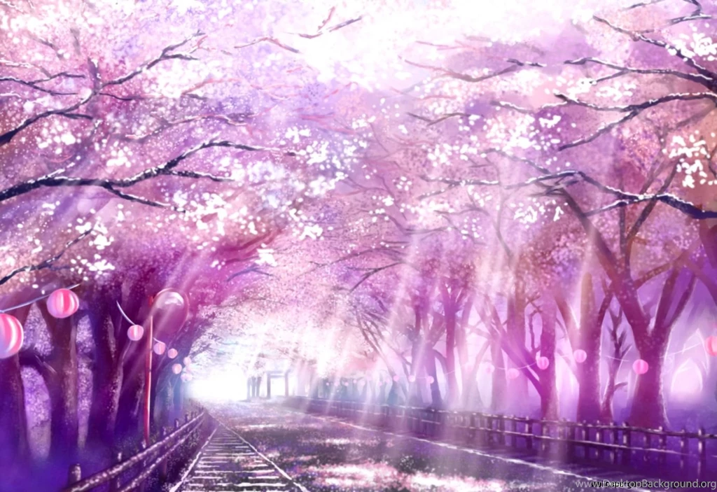 Tree Sakura Natural Scenery Wallpapers