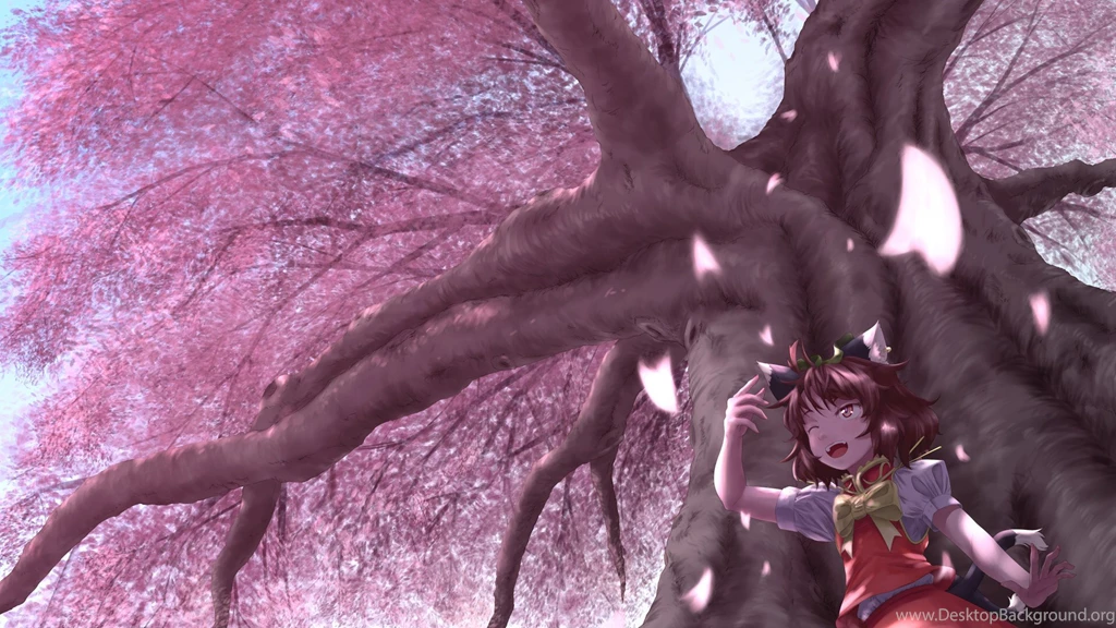 Sakura Tree Pink Petals Girl Kitty Smile Wallpapers