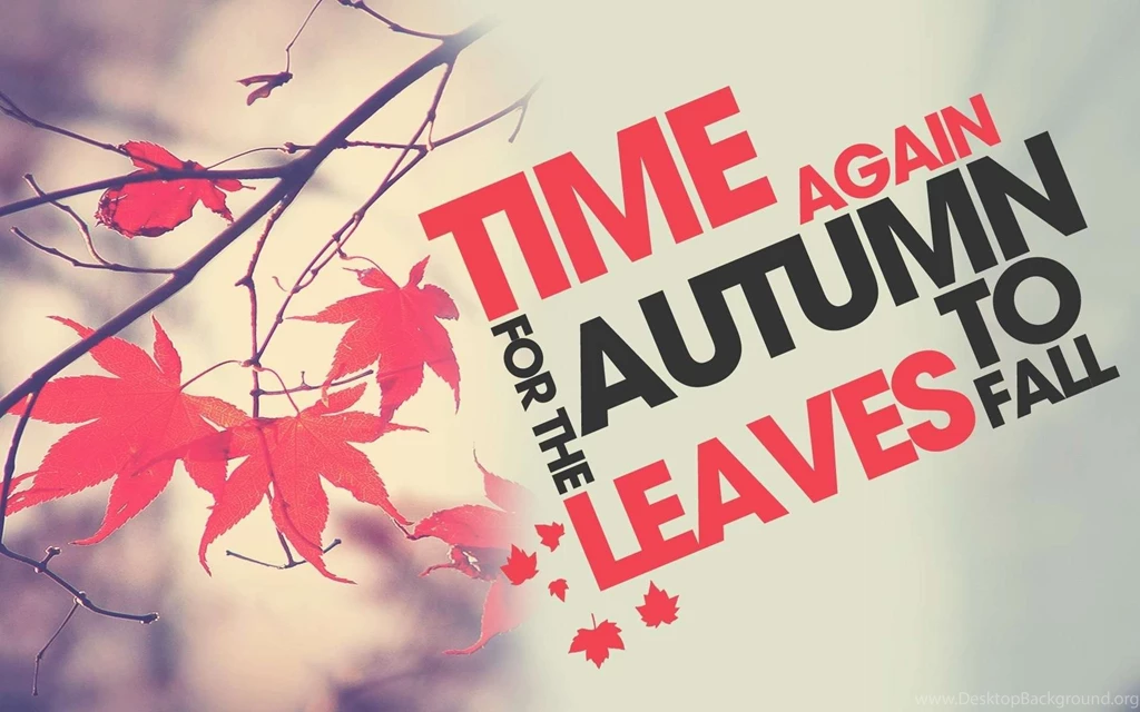 Autumn Archives   Page 4 Of 4   HD Wallpapers Source