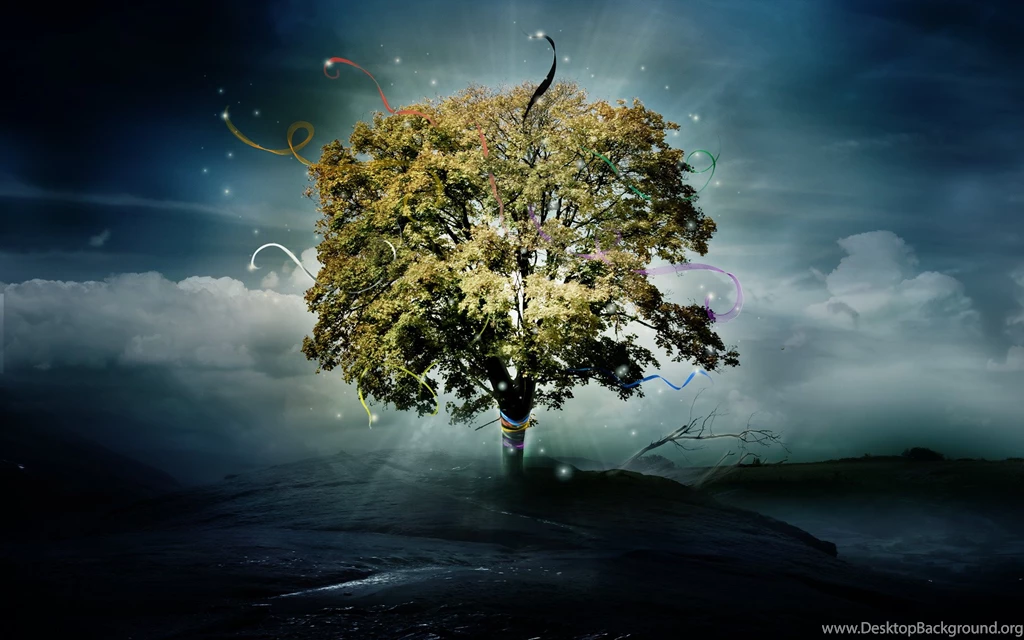 Tree Wallpapers HD H3S9H   HD Wallpapers Desktop Backgrounds