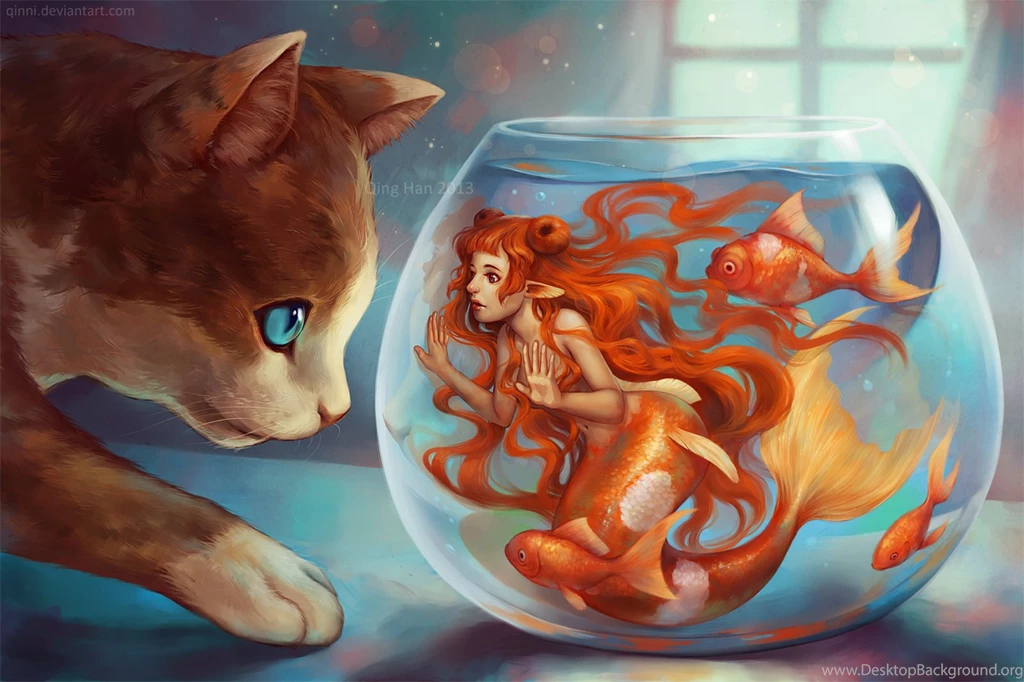 Cat Fish Mermaid Animal Fantasy Hd Wallpaper Backgrounds Image ...