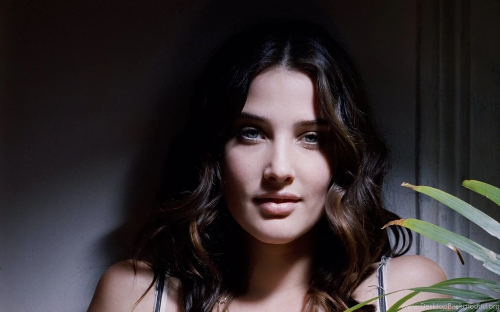 Gorgeous Cobie Smulders Wallpapers