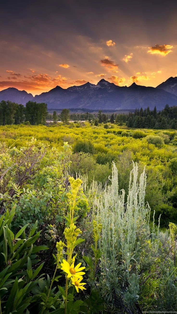 Grand Teton National Park 4K Ultra HD Wallpapers