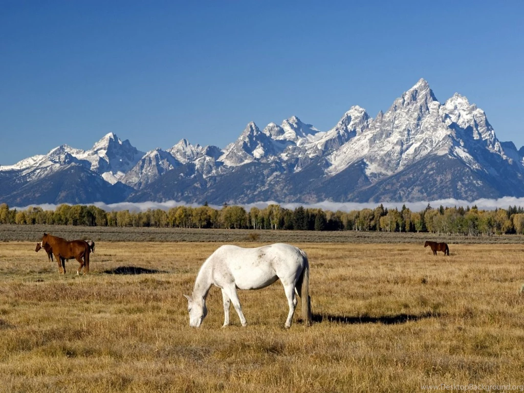 Super Grand Teton National Park Wallpapers