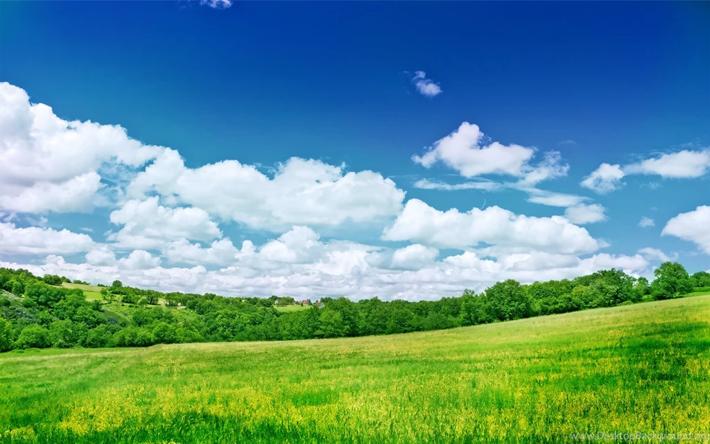 Beautiful Background Images