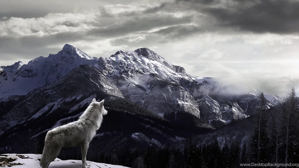 Winter Wolves HD Wallpapers