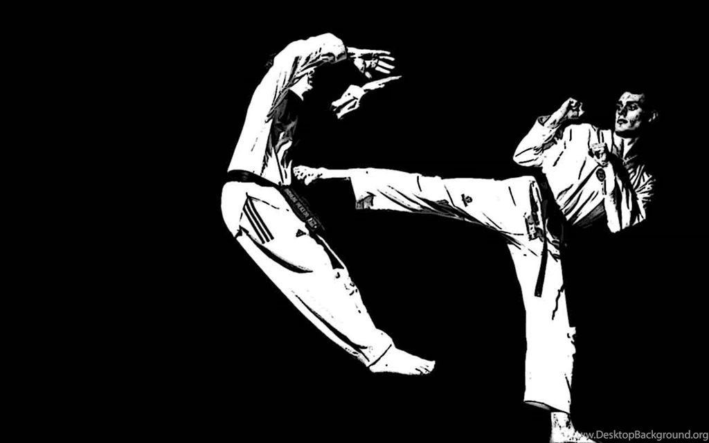 Martial Arts Wallpapers Wallpapers Cave