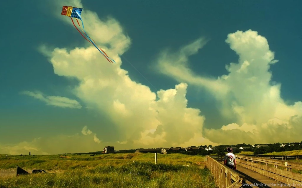 KITE FLYER WALLPAPER (