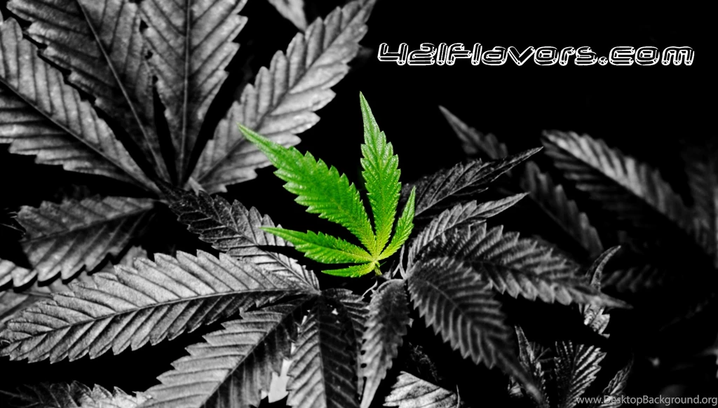 Weed Wallpapers 4d HD Wallpapers