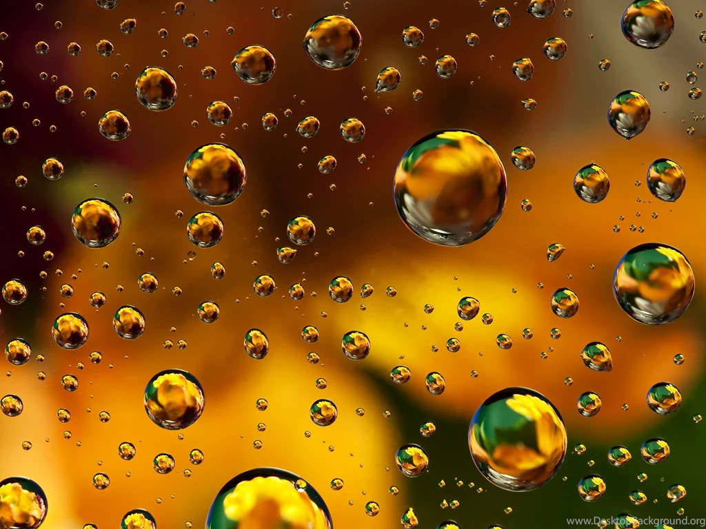 Water Drops On Gold And Green Wallpapers – Like All Propagandists ...