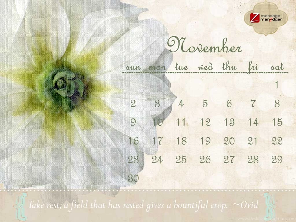 Free Online Wallpapers For Desktop