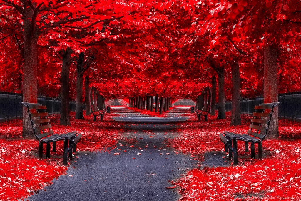 November Background Images