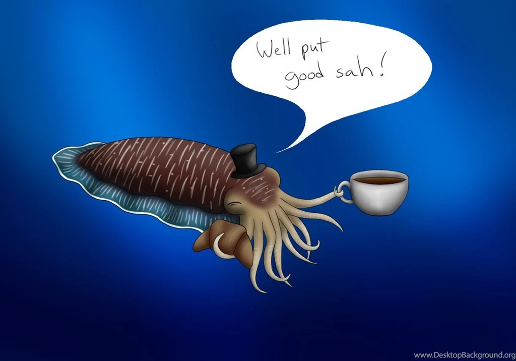 Concept Design Home: Cute Baby Cuttlefish Pictures