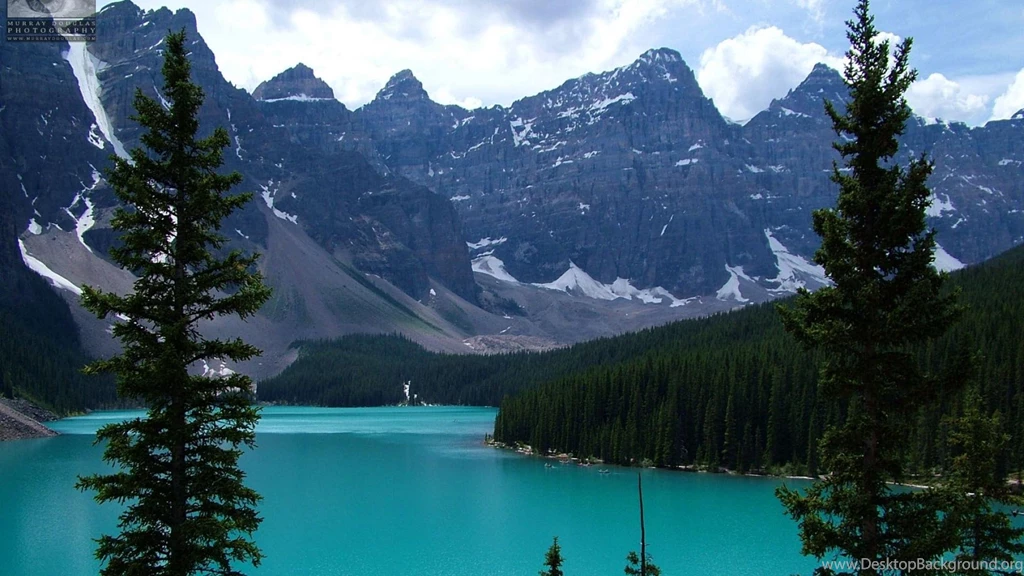 Moraine Lake Forest Hills HD Wallpapers Wallpapers (