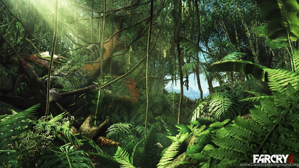 Far Cry 3 HD Wallpapers
