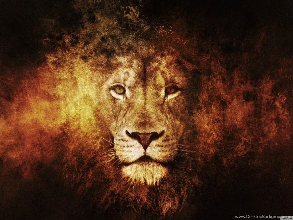 Wallpapers Hd 3HD