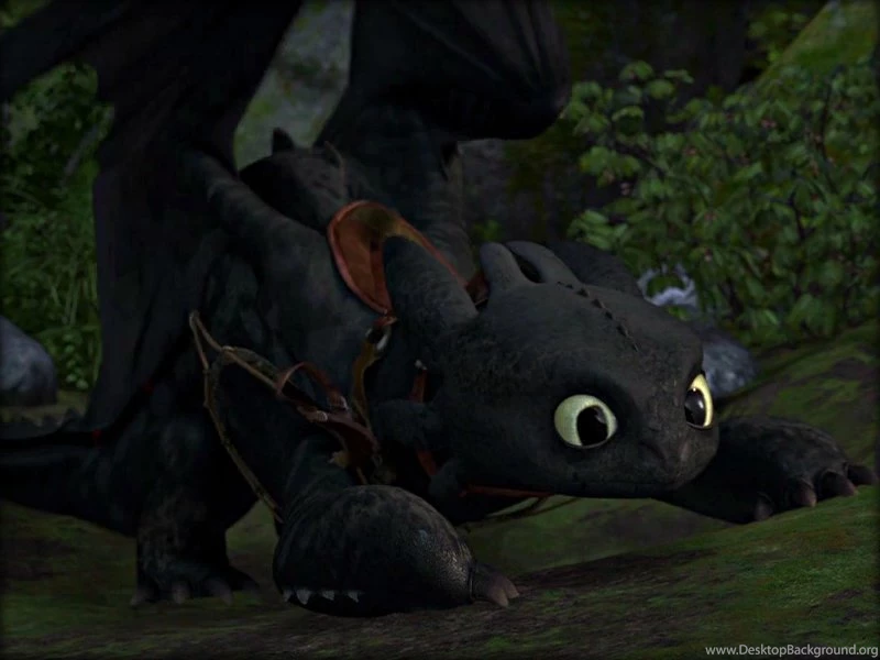 ★ Toothless ☆ How To Train Your Dragon Wallpapers (32987223 ...