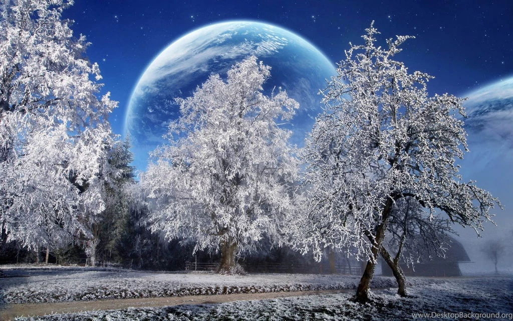 Best Winter Wallpapers Wallpapers High Definition