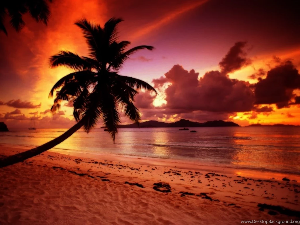 Tropical Beach Paradise Sunset Wallpaper.