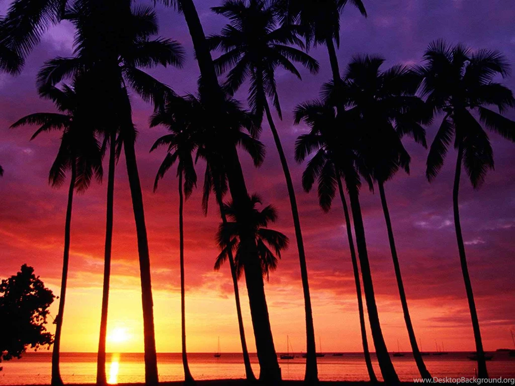 Sunset Beach HD Wallpapers ~ Toptenpack.com