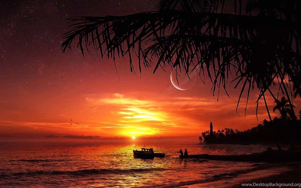 Tropical Beach Sunset Wallpapers 1024x768 1010176