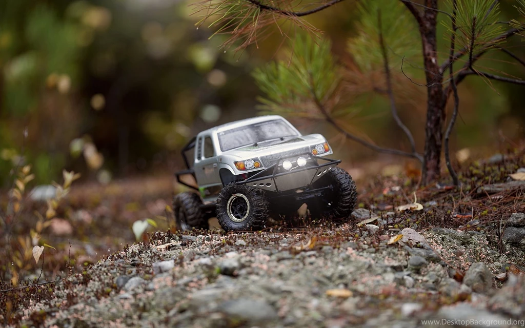 Download Wallpapers, Download 2560x1600 Forest Cars Macro Model ...