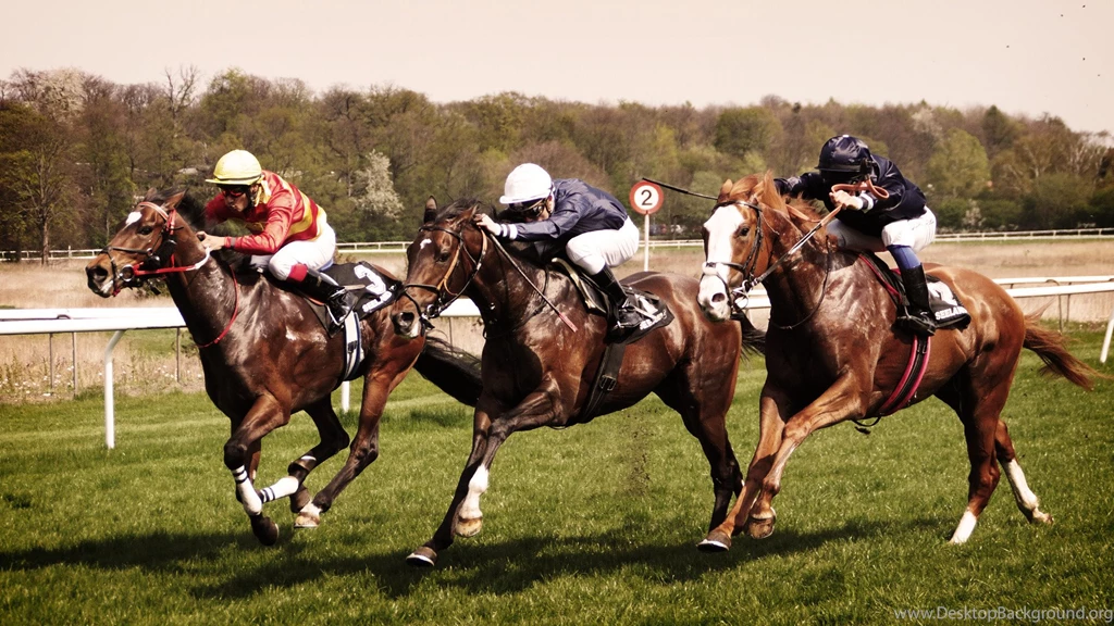Horse Race Wallpapers