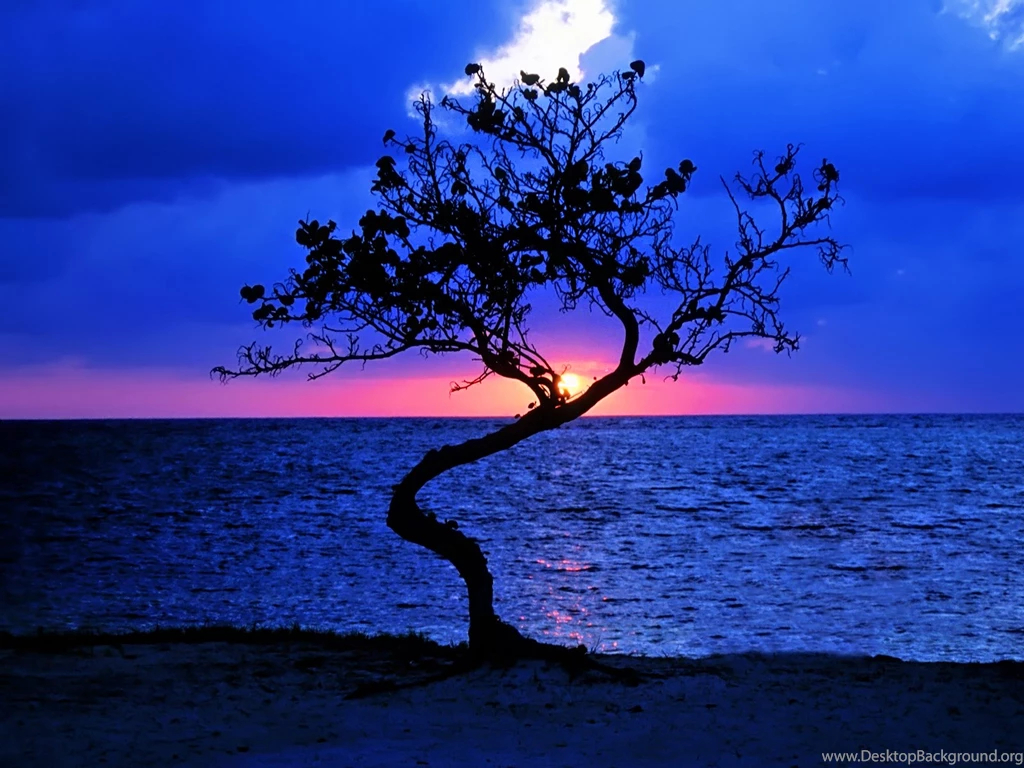 Sunset in Belize Wallpapers