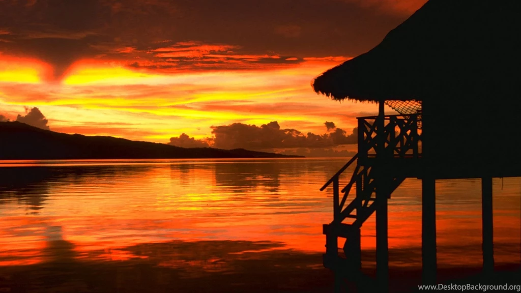 55+ Beach Sunset Backgrounds