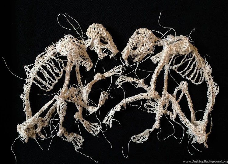 Fabulously Disturbing Skeletal Animal Remains Intricately ...