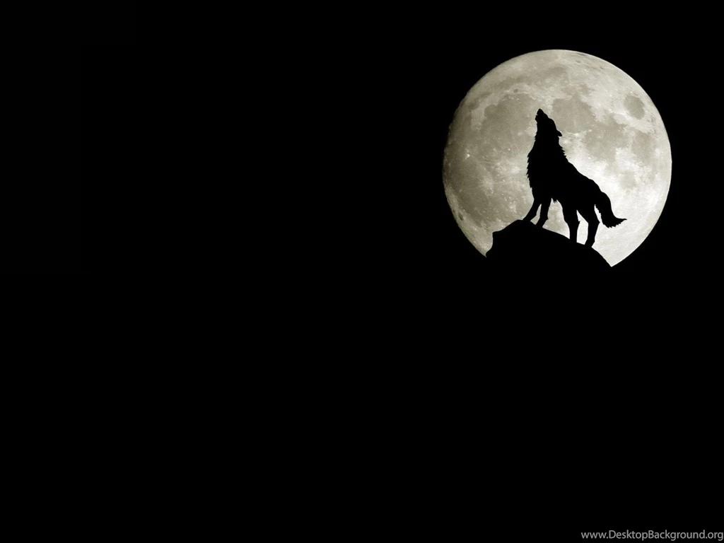 Desktop Hd Moon Wolf Wallpapers 3d Hd Pictures.