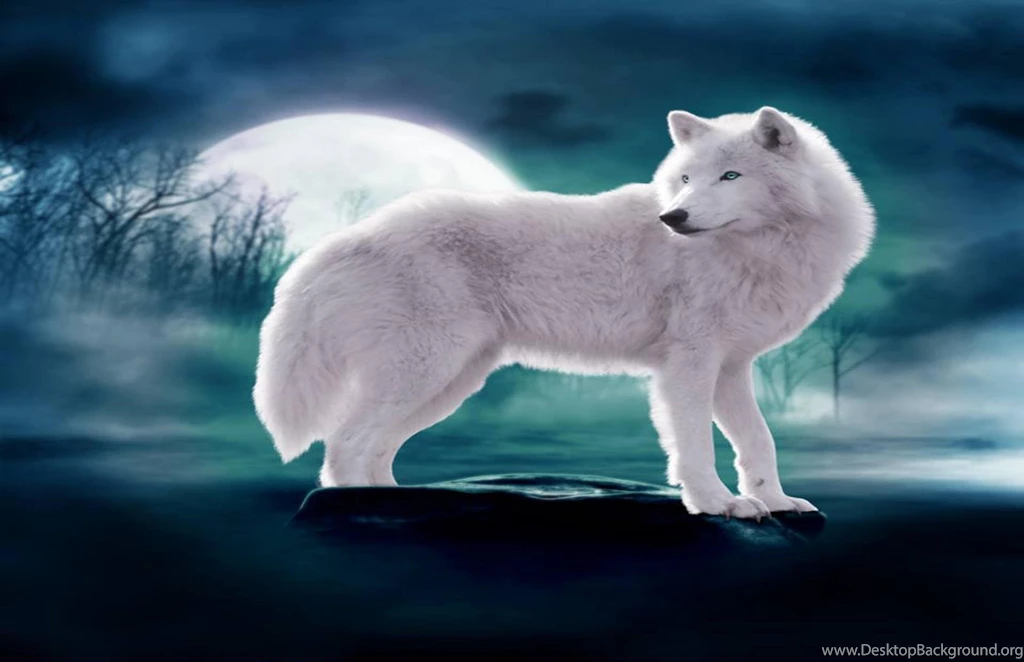 Wolf In Moon Light (