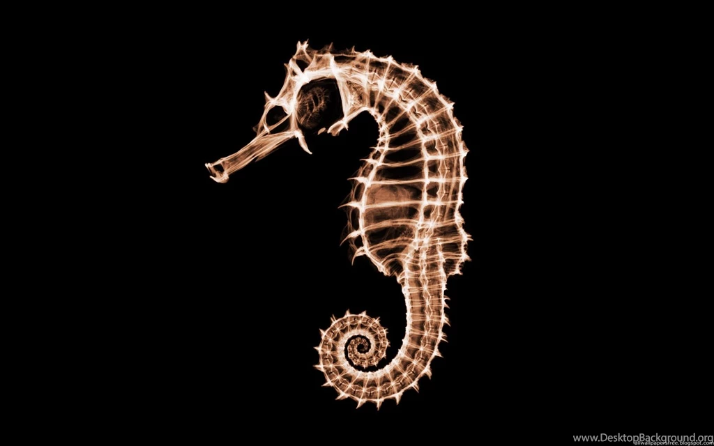 Xray Wallpapers Iphone X Ray Machines Blog Articles